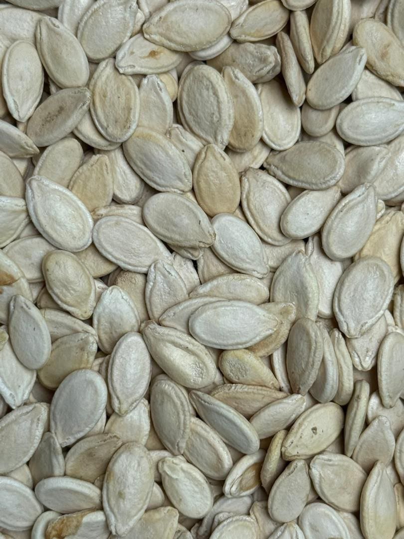 حب بطيخ سوداني